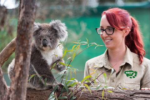Small-Group Phillip Island Penguin Parade Day Tour From Melbourne - Accommodation Rockhampton 0