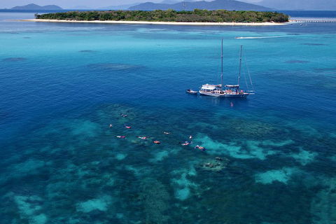 Ocean Free Green Island & Great Barrier Reef Snorkel Cruise, Cairns 25 Guests - Accommodation Rockhampton 2