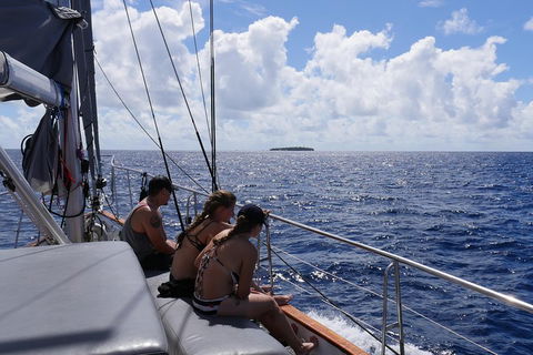 Ocean Free Green Island & Great Barrier Reef Snorkel Cruise, Cairns 25 Guests - Accommodation Rockhampton 4