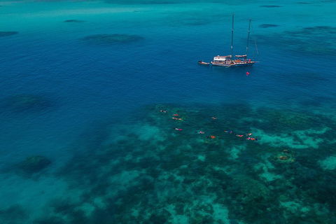 Ocean Free Green Island & Great Barrier Reef Snorkel Cruise, Cairns 25 Guests - Accommodation Rockhampton 5