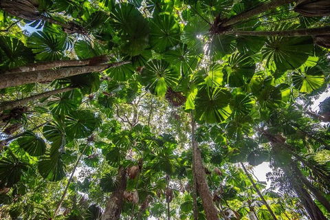 5 Day Australia Retreat: Queensland Daintree - Accommodation Rockhampton 2