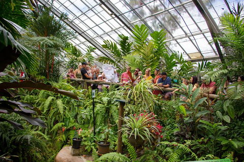 Australian Butterfly Sanctuary - Accommodation Rockhampton 0