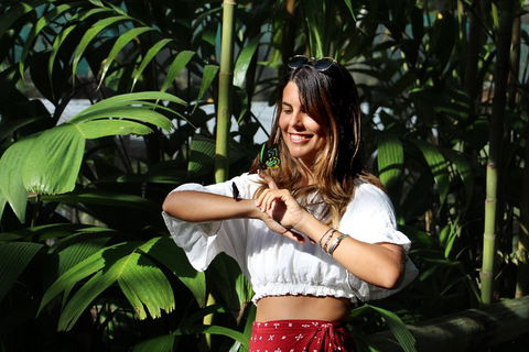 Australian Butterfly Sanctuary - Accommodation Rockhampton 1