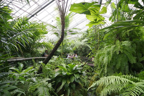 Australian Butterfly Sanctuary - Accommodation Rockhampton 3