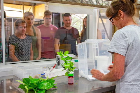 Australian Butterfly Sanctuary - Accommodation Rockhampton 5