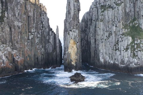 Tasman Island Cruises And Port Arthur Historic Site Day Tour From Hobart - Accommodation Rockhampton 2