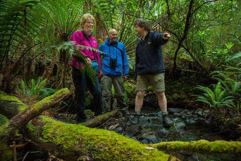 Bruny Island Traveller - Gourmet Tasting And Sightseeing Day Trip From Hobart - Accommodation Rockhampton 1