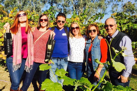Wine Tasting Day Trip And Swan Valley River Cruise To Perth - Accommodation Rockhampton 2