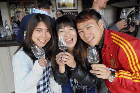 Wine Tasting Day Trip And Swan Valley River Cruise To Perth - Accommodation Rockhampton 3