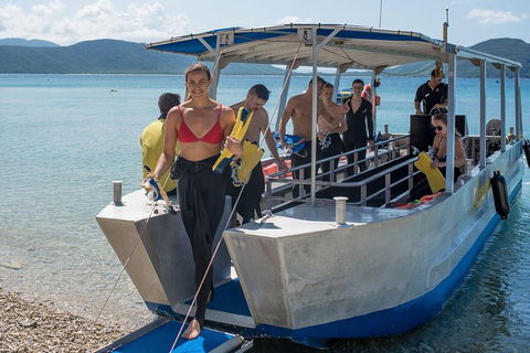 Fitzroy Island Day Trip From Cairns - Accommodation Rockhampton 5