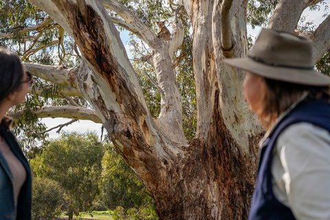 NEW TOUR - Kangaroo Island Road To Recovery Tour (1 Day/1 Night) - Accommodation Rockhampton 0