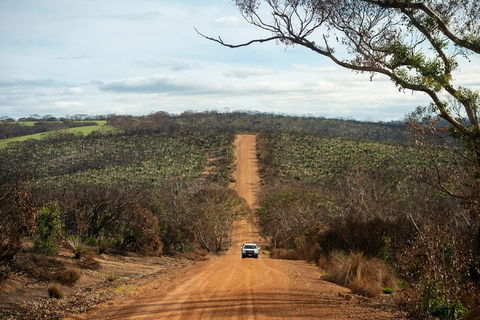 NEW TOUR - Kangaroo Island Road To Recovery Tour (1 Day/1 Night) - Accommodation Rockhampton 2