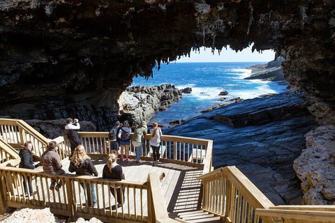 Full Day Flinders Chase Tour From Kangaroo Island - Accommodation Rockhampton 1