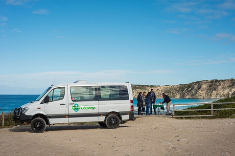 Full Day Flinders Chase Tour From Kangaroo Island - Accommodation Rockhampton 3