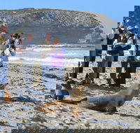 Full day Seal Bay Experience departing from Kangaroo Island - Accommodation Rockhampton