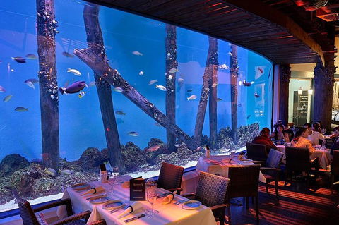 Cairns Aquarium And Small Group City Sightseeing Tour - Accommodation Rockhampton 4