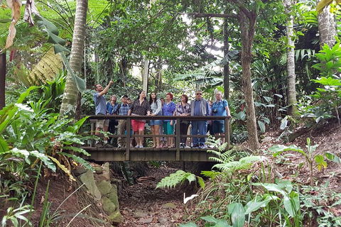 Cairns Shore Excursion: Cairns City Sights & Surrounds Tour - Accommodation Rockhampton 1