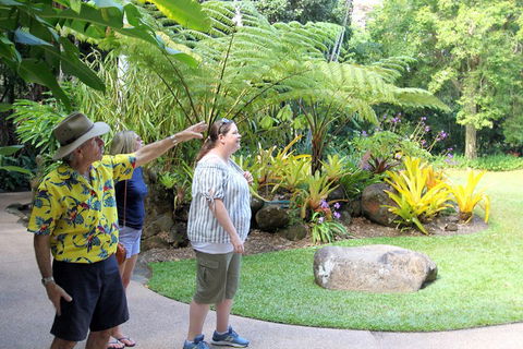 Cairns Shore Excursion: Cairns City Sights & Surrounds Tour - Accommodation Rockhampton 4