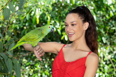 Kuranda Wildlife Experience Three Attraction Pass - Accommodation Rockhampton 1