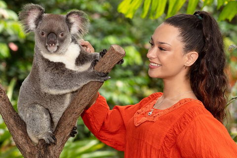 Kuranda Wildlife Experience Three Attraction Pass - Accommodation Rockhampton 4
