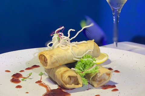 Cairns Aquarium Marine Life Encounter Ticket With 2-Course Lunch - Accommodation Rockhampton 1