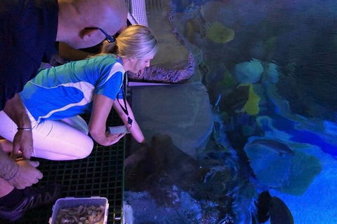 Cairns Aquarium Marine Life Encounter Ticket With 2-Course Lunch - Accommodation Rockhampton 2