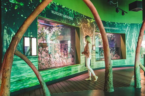 Cairns Aquarium Marine Life Encounter Ticket With 2-Course Lunch - Accommodation Rockhampton 3