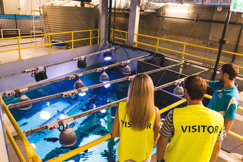 Cairns Aquarium Marine Life Encounter Ticket With 2-Course Lunch - Accommodation Rockhampton 5