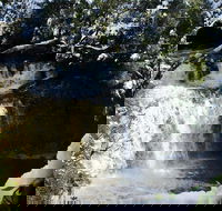Cradle Mountain Day Tour from Launceston Including Lunch - Accommodation Rockhampton