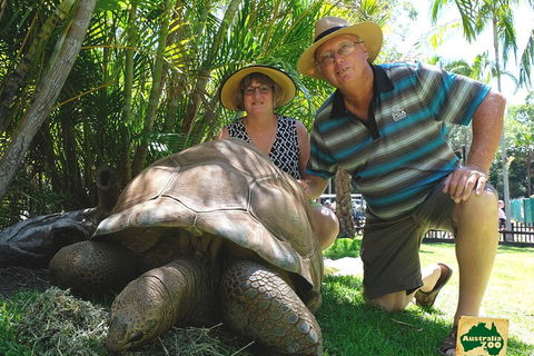 Small-Group Australia Zoo Day Trip From Brisbane - Accommodation Rockhampton 1