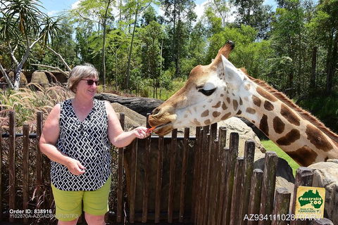 Small-Group Australia Zoo Day Trip From Brisbane - Accommodation Rockhampton 2