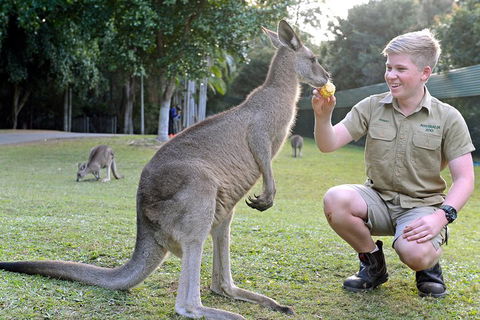 Small-Group Australia Zoo Day Trip From Brisbane - Accommodation Rockhampton 4