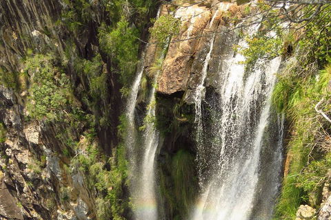 Beyond Byron Hinterland Tour - Accommodation Rockhampton 5