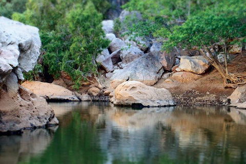 Windjana Gorge And Tunnel Creek 4WD Tour From Broome - Accommodation Rockhampton 5