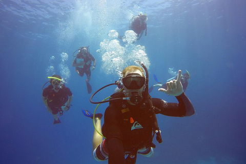 12-Day Great Barrier Reef Marine Conservation Program From Cairns - Accommodation Rockhampton 0