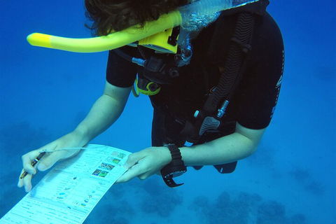 12-Day Great Barrier Reef Marine Conservation Program From Cairns - Accommodation Rockhampton 2