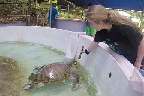 12-Day Great Barrier Reef Marine Conservation Program From Cairns - Accommodation Rockhampton 4