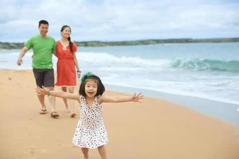 Phillip Island Penguin Parade Day Trip With Koala Conservation Reserve Visit - Accommodation Rockhampton 5