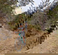 Mount Lofty Descent Bike Tour from Adelaide - Accommodation Rockhampton