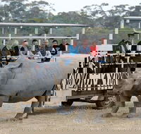 Off-Road Safari at Werribee Open Range Zoo - Accommodation Rockhampton