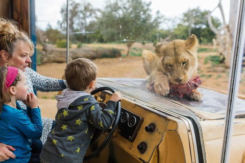 Werribee Open Range Zoo General Admission Ticket - Accommodation Rockhampton 4