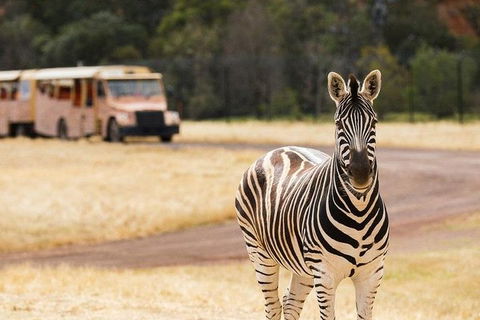 Werribee Open Range Zoo General Admission Ticket - Accommodation Rockhampton 5