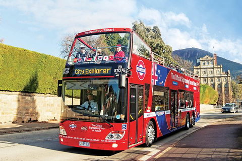 Hobart Hop-On Hop-Off Bus & Kunanyi/Mt Wellington Tour - Accommodation Rockhampton 4