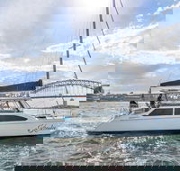 Vivid 90-Minute Sydney Harbour Catamaran Cruise with BYO Drinks - Accommodation Rockhampton