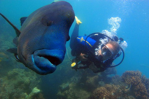 2 Night Whitsunday Islands Cruise On New Horizon From Airlie Beach - Accommodation Rockhampton 4