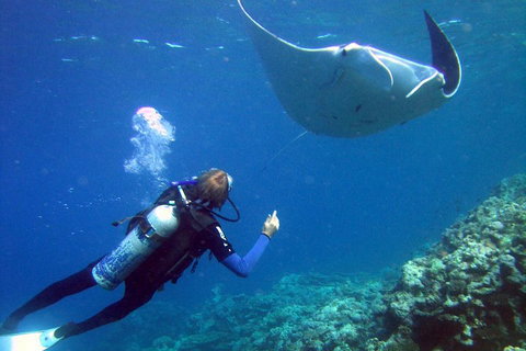 3 Day Whitsundays Sailing And Diving Adventure: Kiana - Accommodation Rockhampton 3