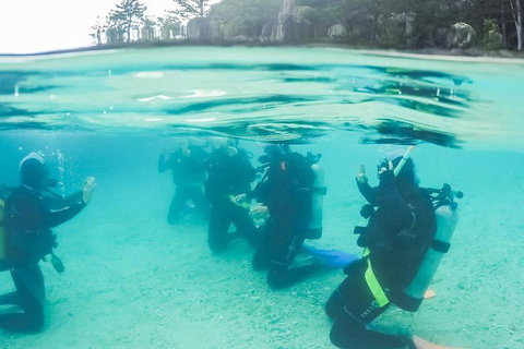 3 Day Whitsundays Sailing And Diving Adventure: Kiana - Accommodation Rockhampton 4