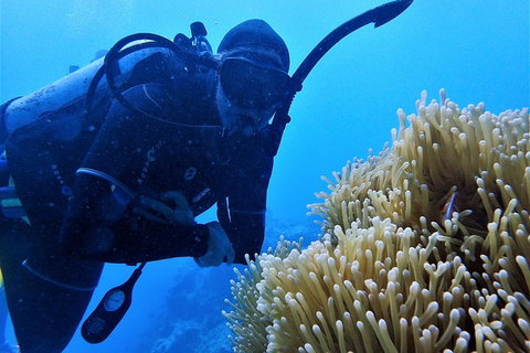 3 Day Whitsundays Sailing And Diving Adventure: Kiana - Accommodation Rockhampton 5