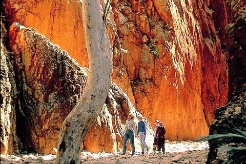 West MacDonnell Ranges Day Trip From Alice Springs - Accommodation Rockhampton 3