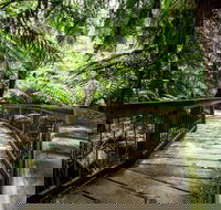 12 Apostles Eco-Friendly Great Ocean Road Iconic Adventure from Melbourne - Accommodation Rockhampton